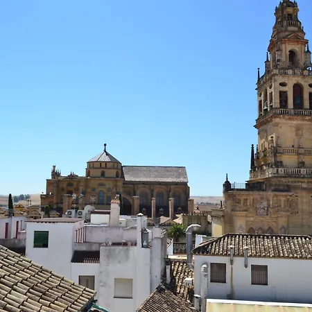 Apartment Sunshine Patio De La Hoguera Cordoba