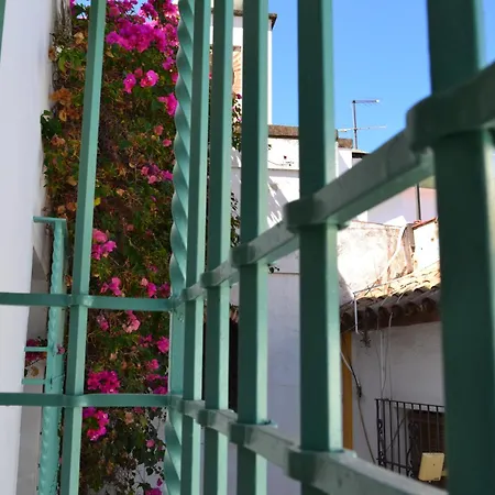 Sunshine Patio De La Hoguera Apartment Cordoba